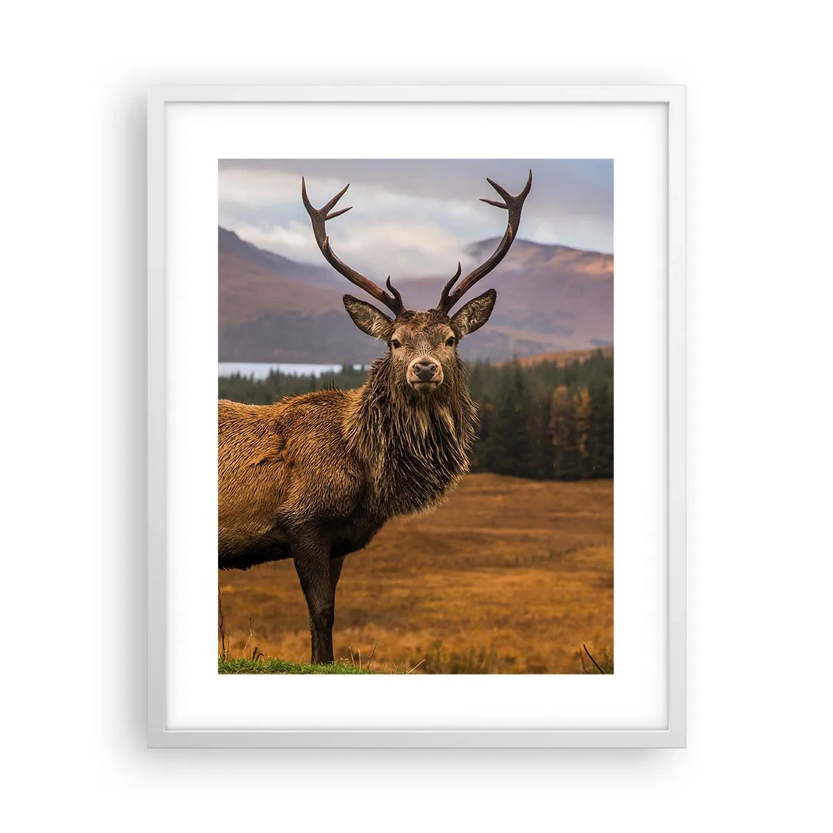 Affiche dans un cadre blanc - Poster - Majesté de la nature - 40x50 cm