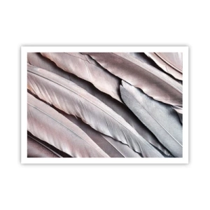 Affiche - Poster - Plumes délicates dans des tons subtils de gris et de beige - 100x70cm - En argent rose - Décoration murale moderne pour le salon et la chambre ARTTOR