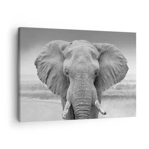 Impression sur toile - Image sur toile - Portrait d'un éléphant en noir et blanc - 70x50cm - Bienvenue dans mon monde - Décoration murale moderne pour le salon et la chambre ARTTOR