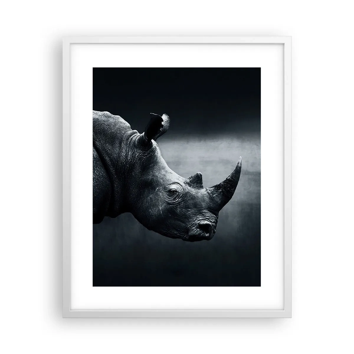 Affiche dans un cadre blanc - Poster - Le profil droit - 40x50 cm