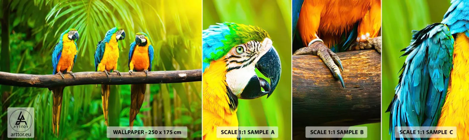 Échantillon de Papier Peint Autocollant Deluxe Sticker - Et avez-vous entendu qu'elle ...? - Des oiseaux, Perroquets, Nature - 100x30 cm