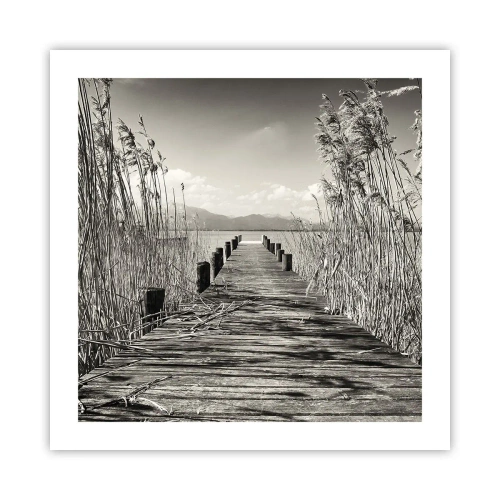 Affiche - Poster - Dans le calme de l'herbe - 50x50 cm