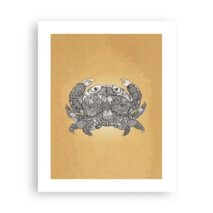 Affiche - Poster - Les contes de M. Crabe - 40x50 cm