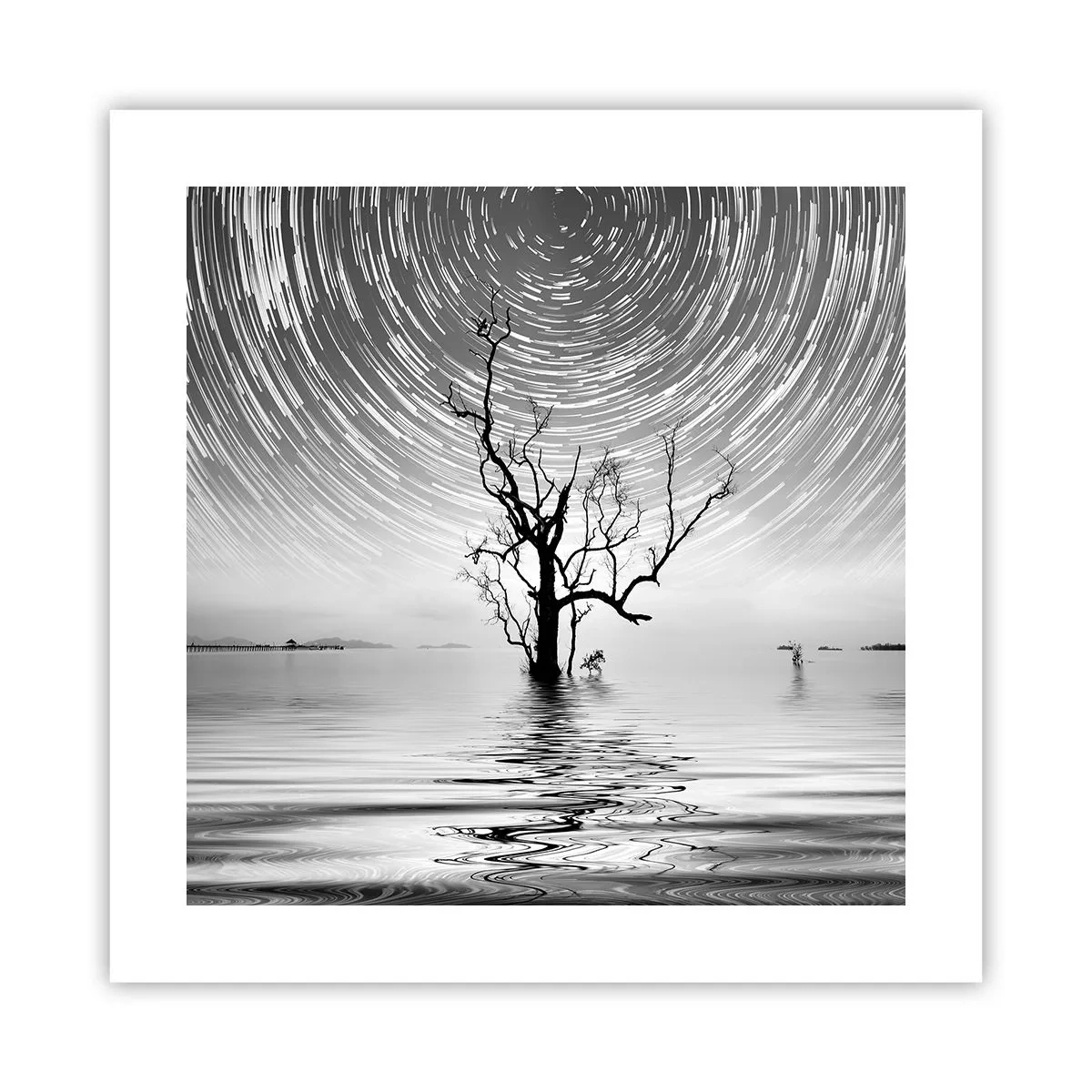 Affiche - Poster - La symphonie de la nature - 40x40 cm