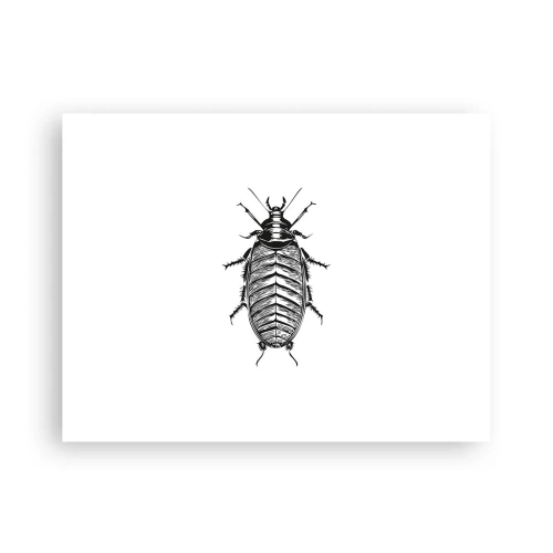 Affiche - Poster - Quel spécimen! - 40x30 cm