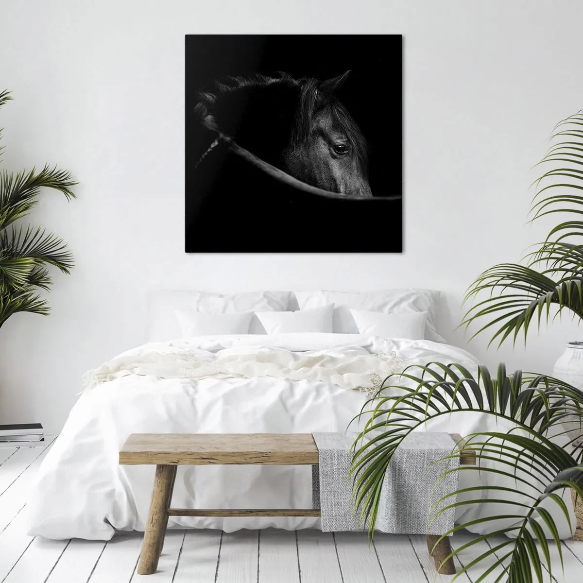 Impression sur toile - Image sur toile - Prince Noir - 70x70 cm