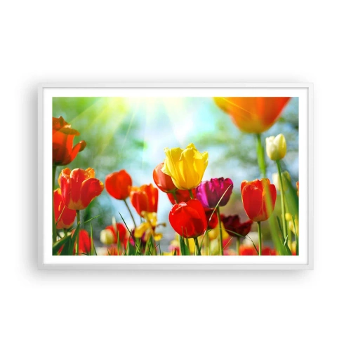 Affiche dans un cadre blanc - Poster - Toutes les couleurs du soleil - 91x61 cm