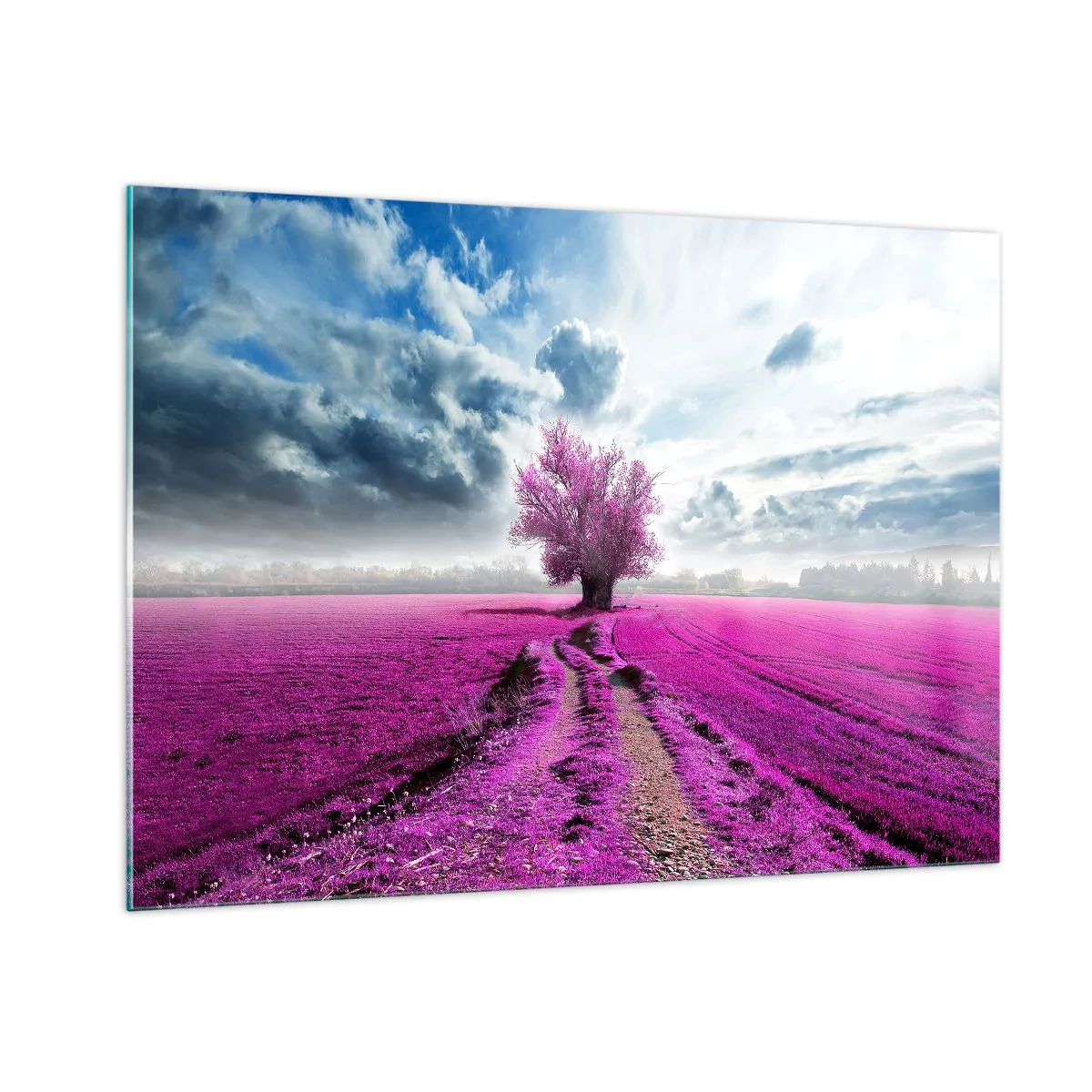 Impression sur verre - Image sur verre - Un arbre dans un champ de bruyère sous un ciel dynamique - 100x70cm - Lande - nature sauvage - Décoration murale moderne pour le salon et la chambre ARTTOR
