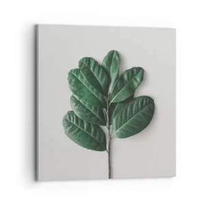 Impression sur toile - Image sur toile - Dessin de la nature elle-même - 70x70 cm