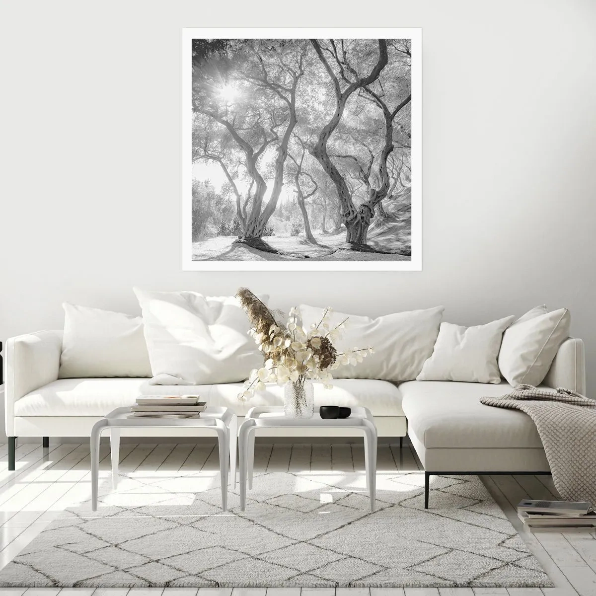 Affiche - Poster - Dans l'oliveraie - 50x50 cm