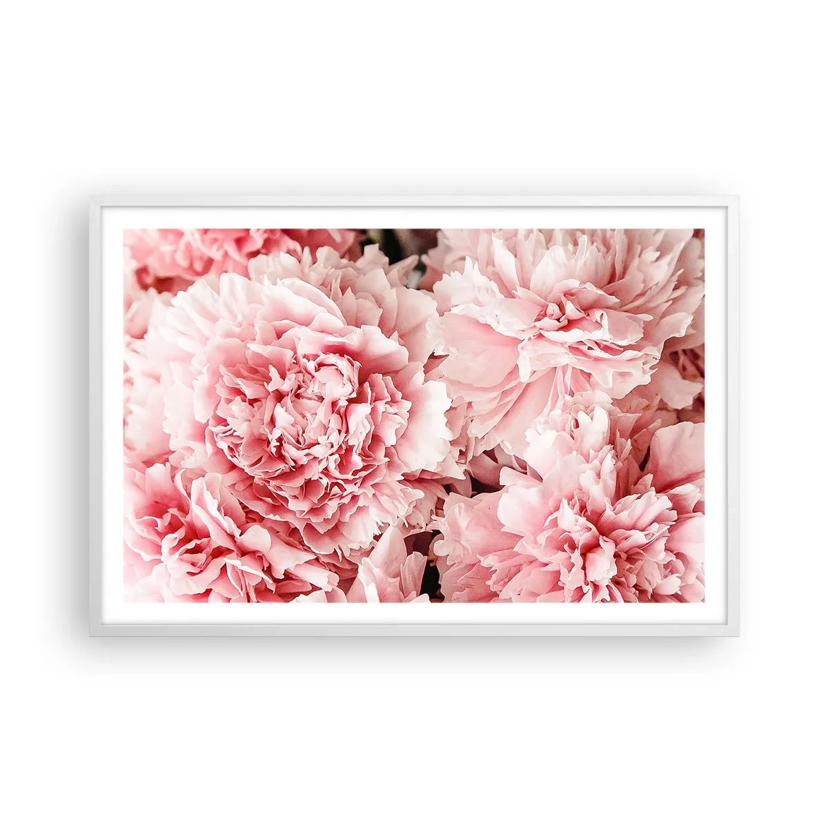 Affiche dans un cadre blanc - Poster - Rêve rose - 91x61 cm