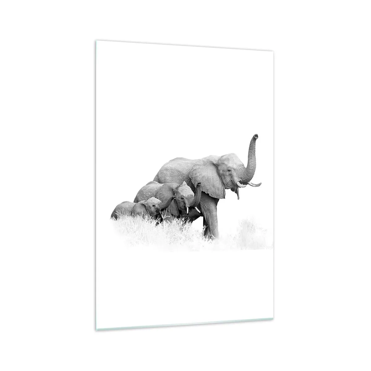 Impression sur verre - Image sur verre - Une famille d'éléphants sur fond de paysage africain en noir et blanc. - 70x100cm - Un, deux, trois - Décoration murale moderne pour le salon et la chambre ARTTOR