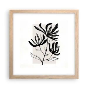 Affiche dans un chêne clair - Poster - Esquisse pour l'herbier - 30x30 cm