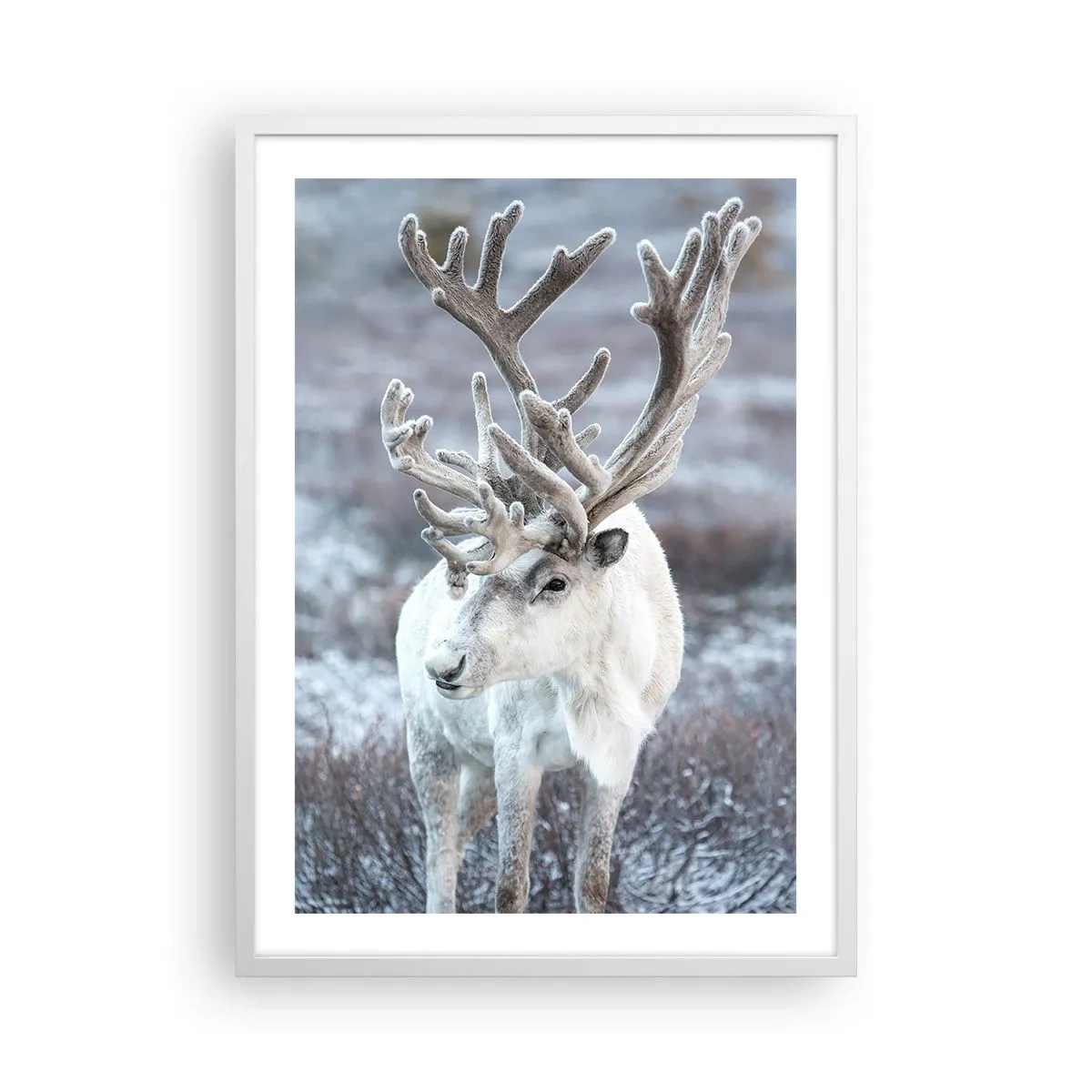 Affiche dans un cadre blanc - Poster - Portrait au soleil - 50x70 cm