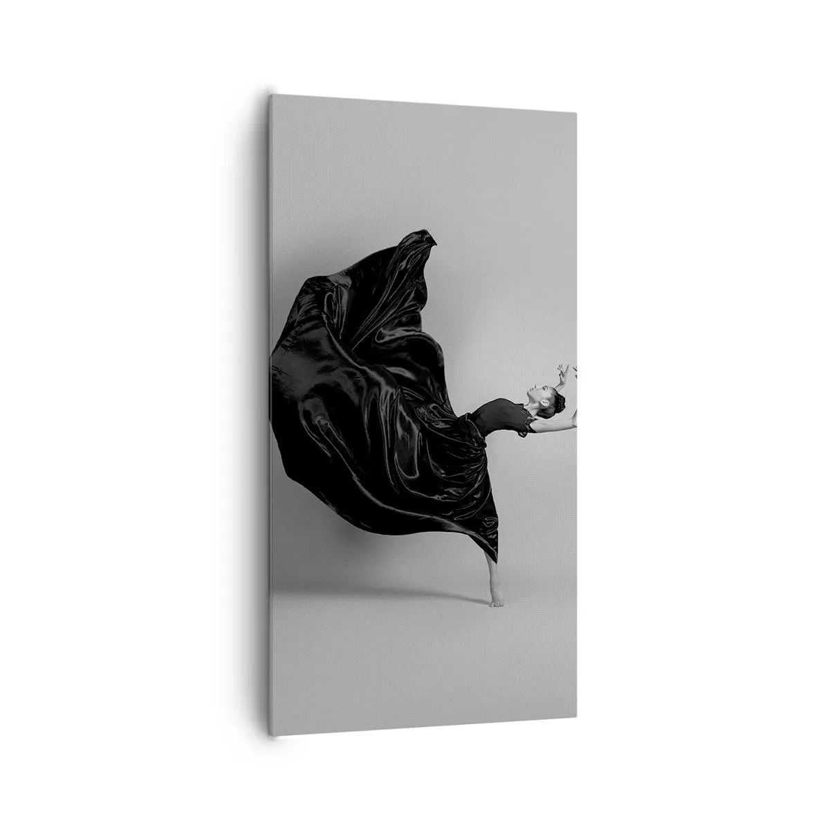 Impression sur toile - Image sur toile - Musique ailées - 65x120 cm