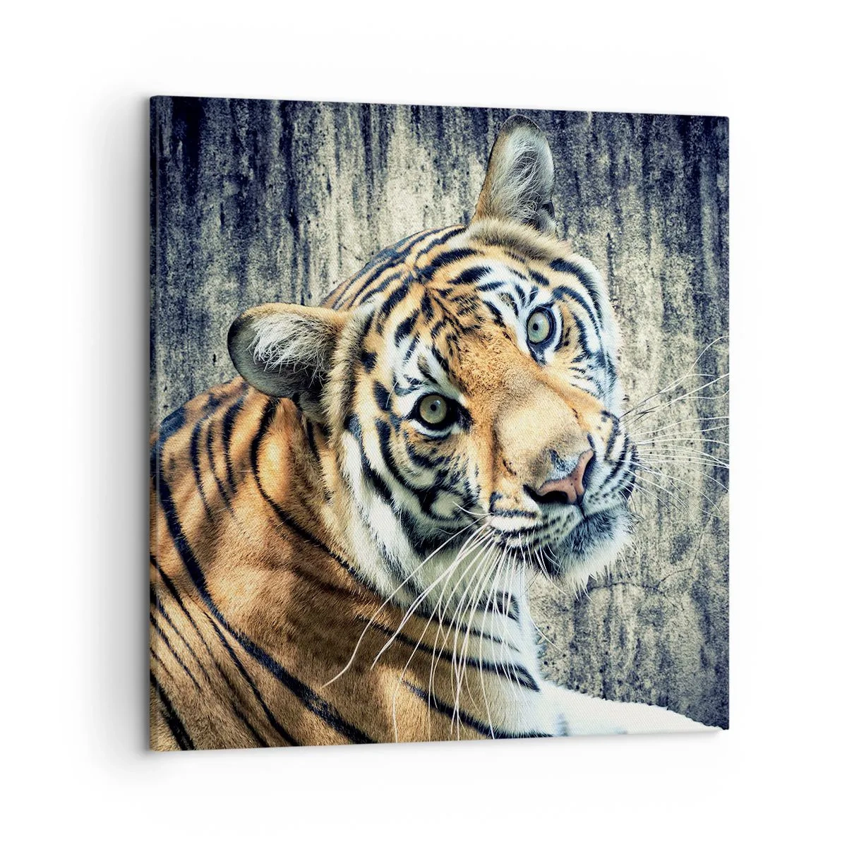 Impression sur toile - Image sur toile - Portrait dans les flots de lumière - 50x50 cm