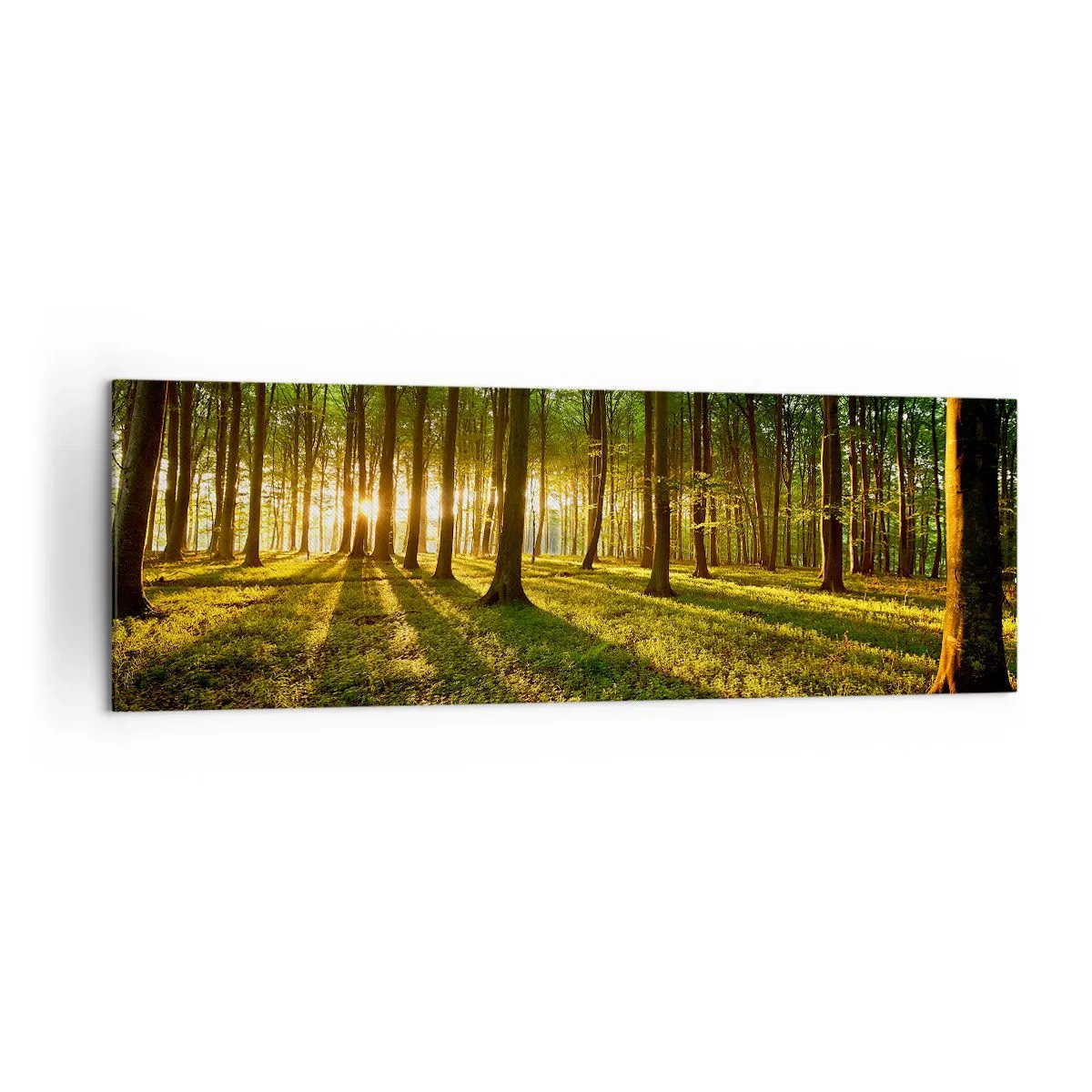Impression sur toile - Image sur toile - Le soleil couchant dans la forêt de feuillus - 160x50cm - Toutes les photographies de printemps - Décoration murale moderne pour le salon et la chambre ARTTOR
