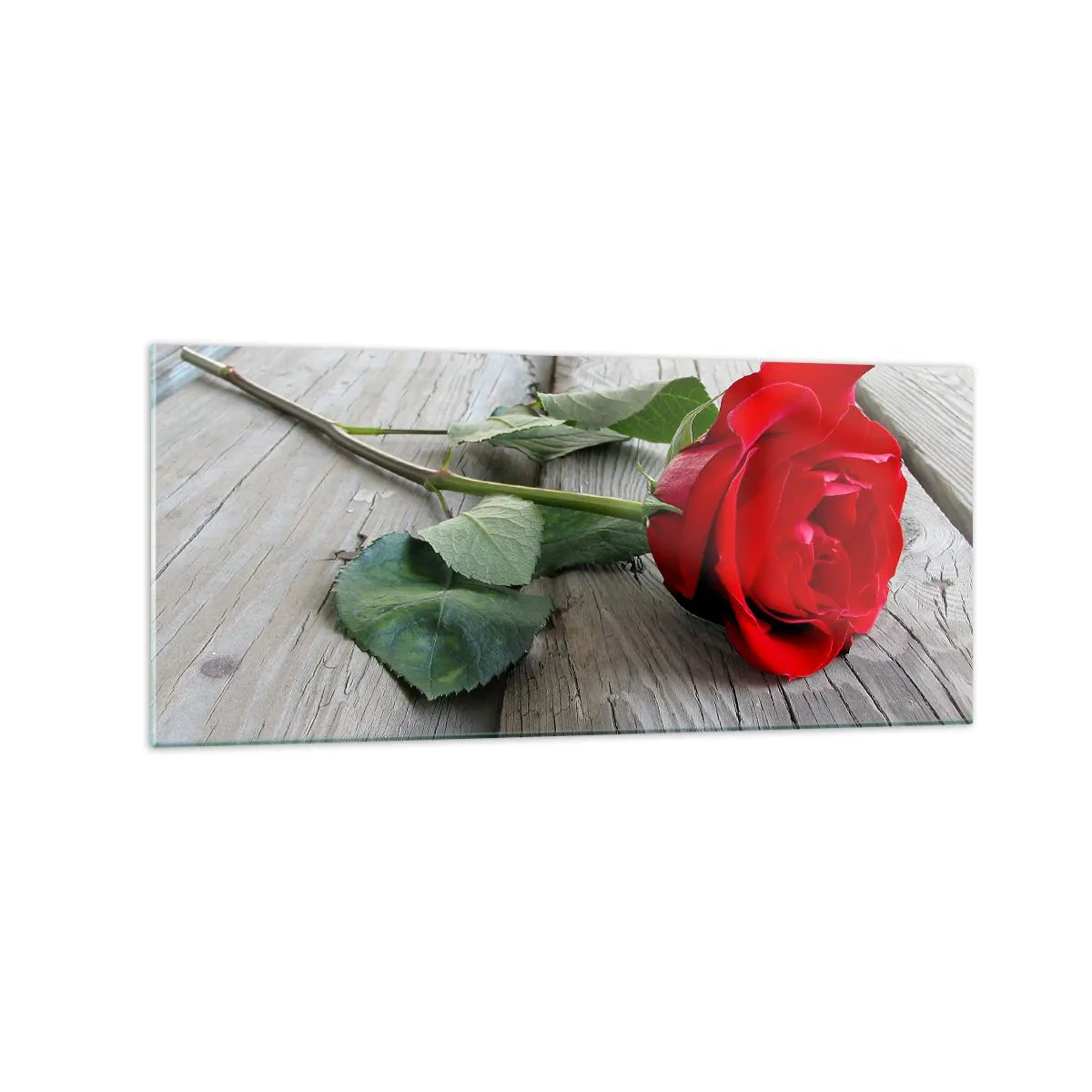 Impression sur verre - Image sur verre - Rose rouge sur fond de bois - 120x50cm - Étude écarlate - Décoration murale moderne pour le salon et la chambre ARTTOR