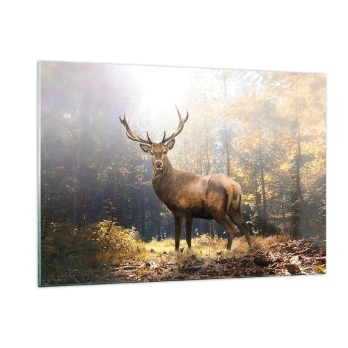 Impression sur verre - Image sur verre - Un cerf majestueux dans une forêt d'automne ensoleillée - 120x80cm - Toute sa majesté - Décoration murale moderne pour le salon et la chambre ARTTOR
