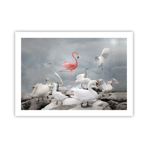 Affiche - Poster - Comment suis-je arrivé là? - 70x50 cm