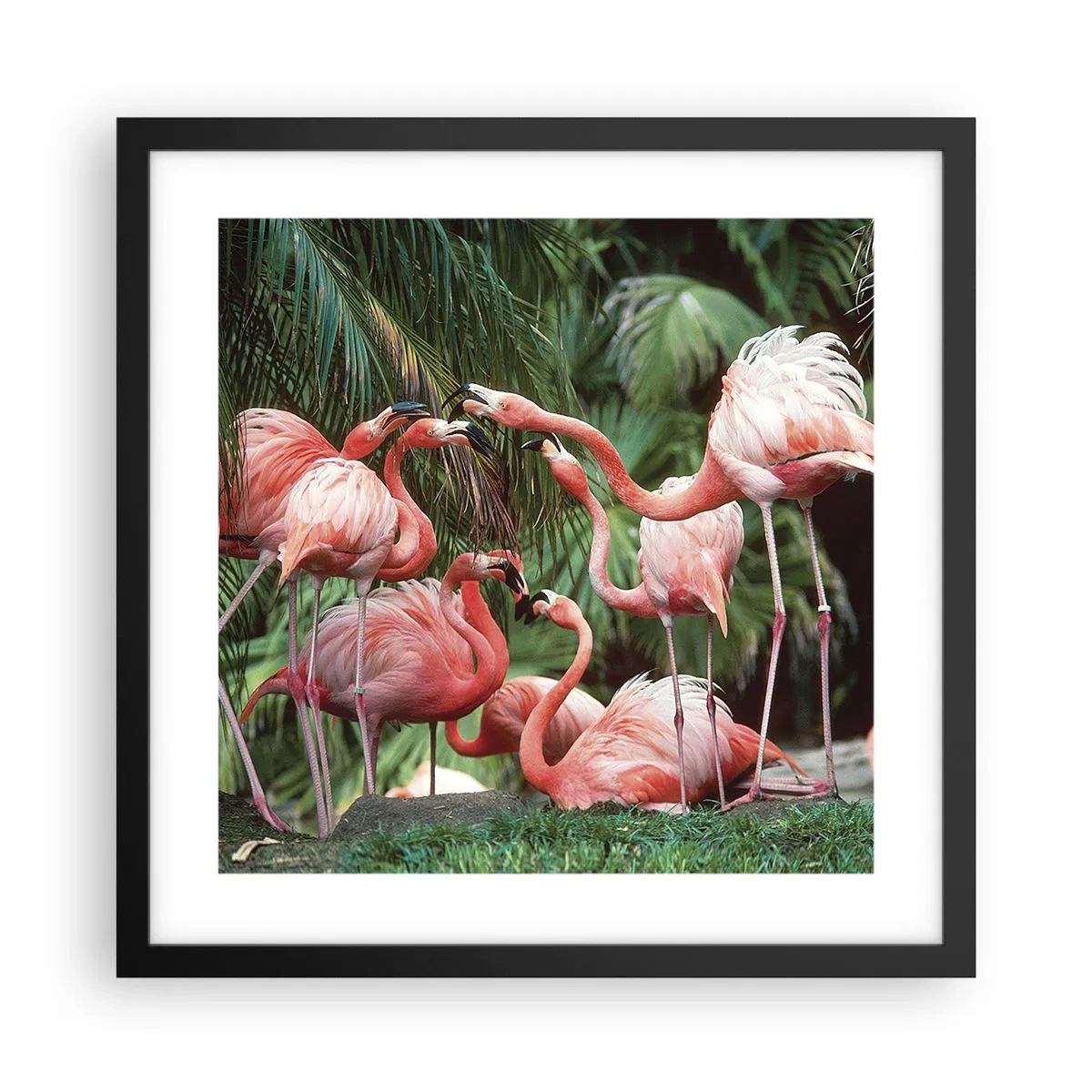 Affiche dans un cadre noir - Poster - Potins d'après-midi - 40x40 cm