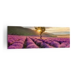 Impression sur toile - Image sur toile - Un champ de lavande avec un arbre solitaire au coucher du soleil - 160x50cm - Arôme de couleur lilas - Décoration murale moderne pour le salon et la chambre ARTTOR