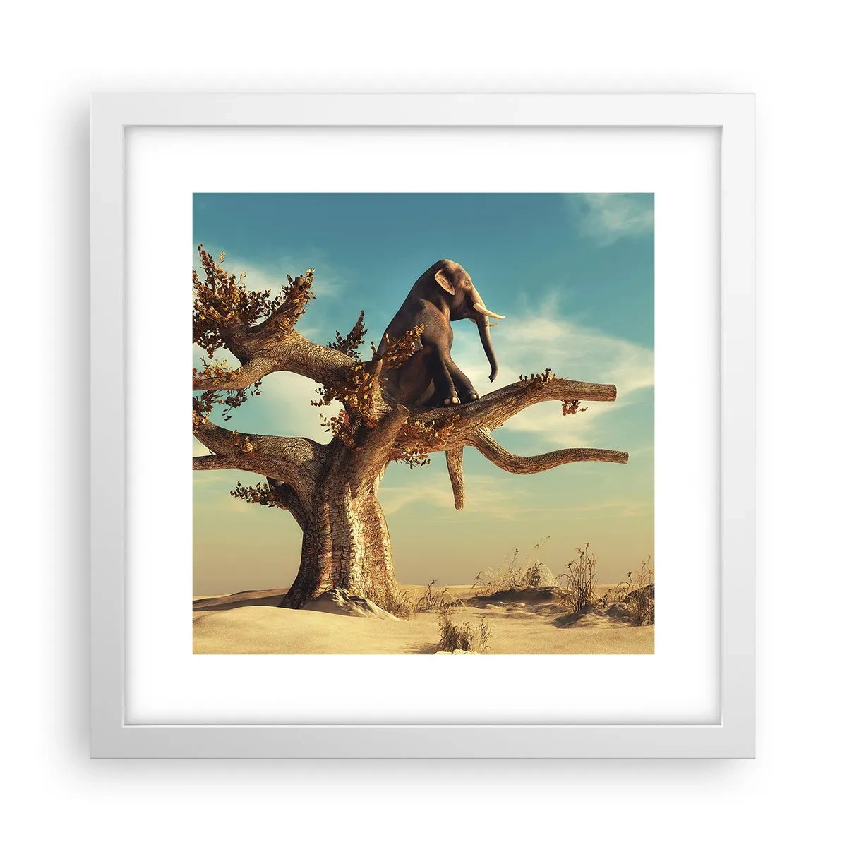 Affiche dans un cadre blanc - Poster - Nouveau point de vue - 30x30 cm