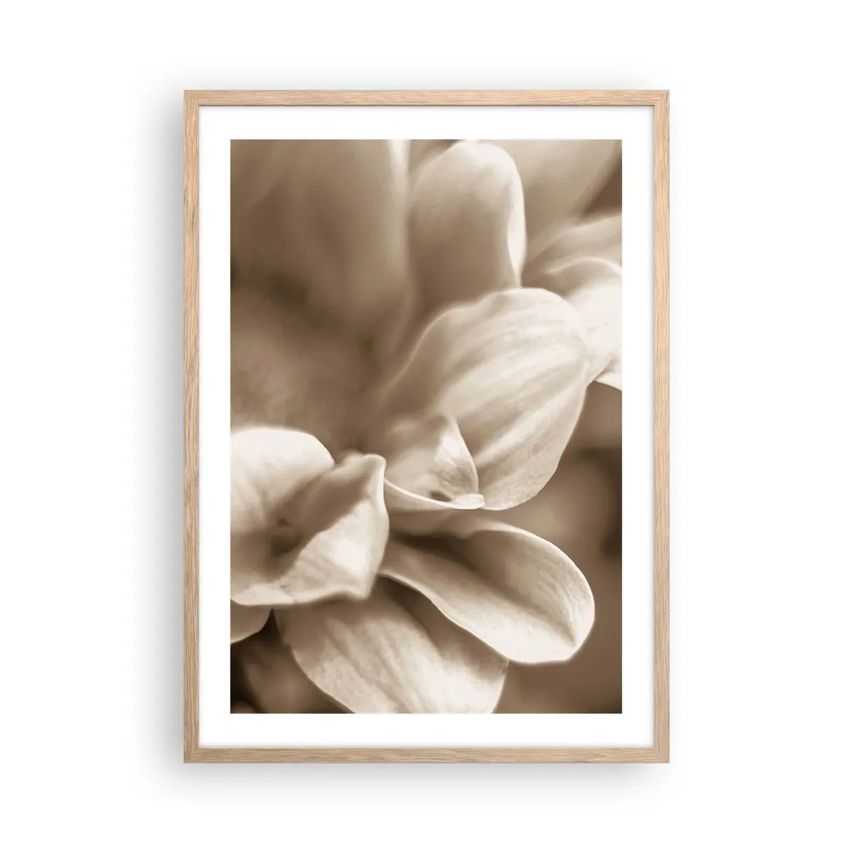 Affiche dans un chêne clair - Poster - Doux comme un sourire - 50x70 cm