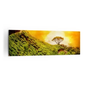 Impression sur toile - Image sur toile - Collines verdoyantes de plantations de thé au coucher du soleil - 160x50cm - Un chemin sinueux, une pente verte - Décoration murale moderne pour le salon et la chambre ARTTOR