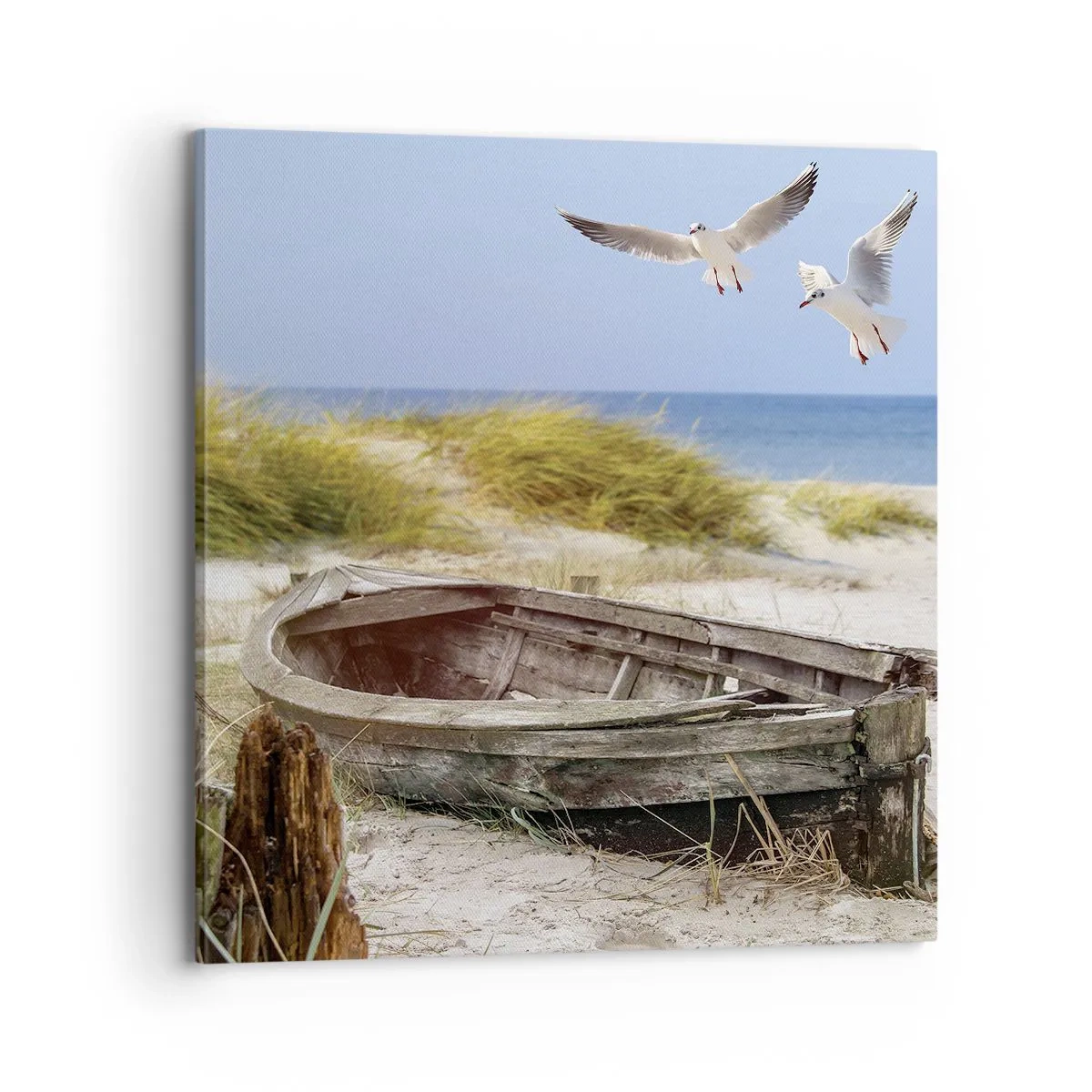 Impression sur toile - Image sur toile - Bain de vent - 70x70 cm