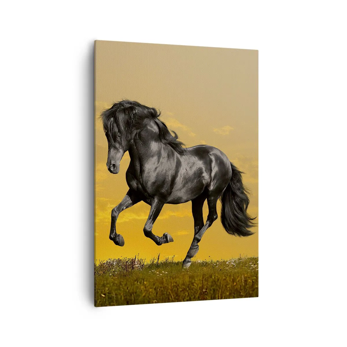 Impression sur toile - Image sur toile - Un cheval noir galope sur fond de coucher de soleil doré. - 70x100cm - Beau, libre et sauvage - Décoration murale moderne pour le salon et la chambre ARTTOR