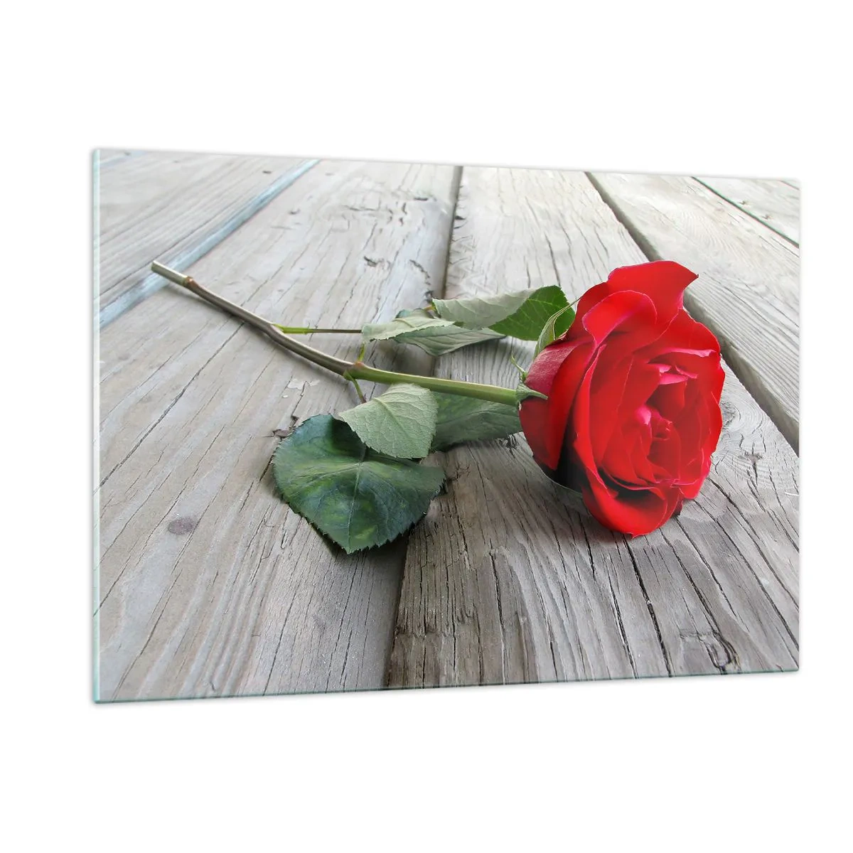 Impression sur verre - Image sur verre - Rose rouge sur une planche de bois - 120x80cm - Étude écarlate - Décoration murale moderne pour le salon et la chambre ARTTOR