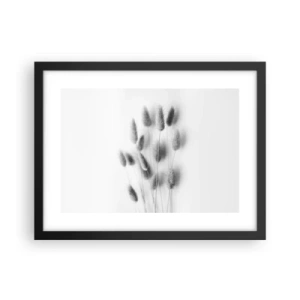 Affiche dans un cadre noir - Poster - Son herbe duveteuse - 40x30 cm