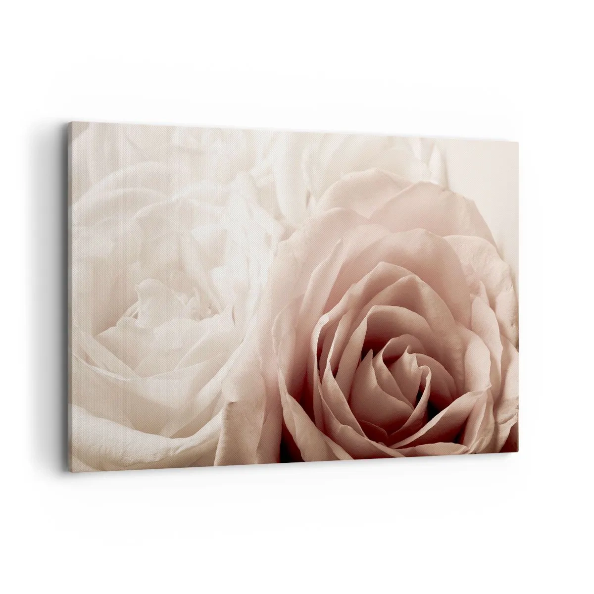 Impression sur toile - Image sur toile - Roses délicates dans des tons pastel de beige - 120x80cm - Au coeur d'ue la rose - Décoration murale moderne pour le salon et la chambre ARTTOR