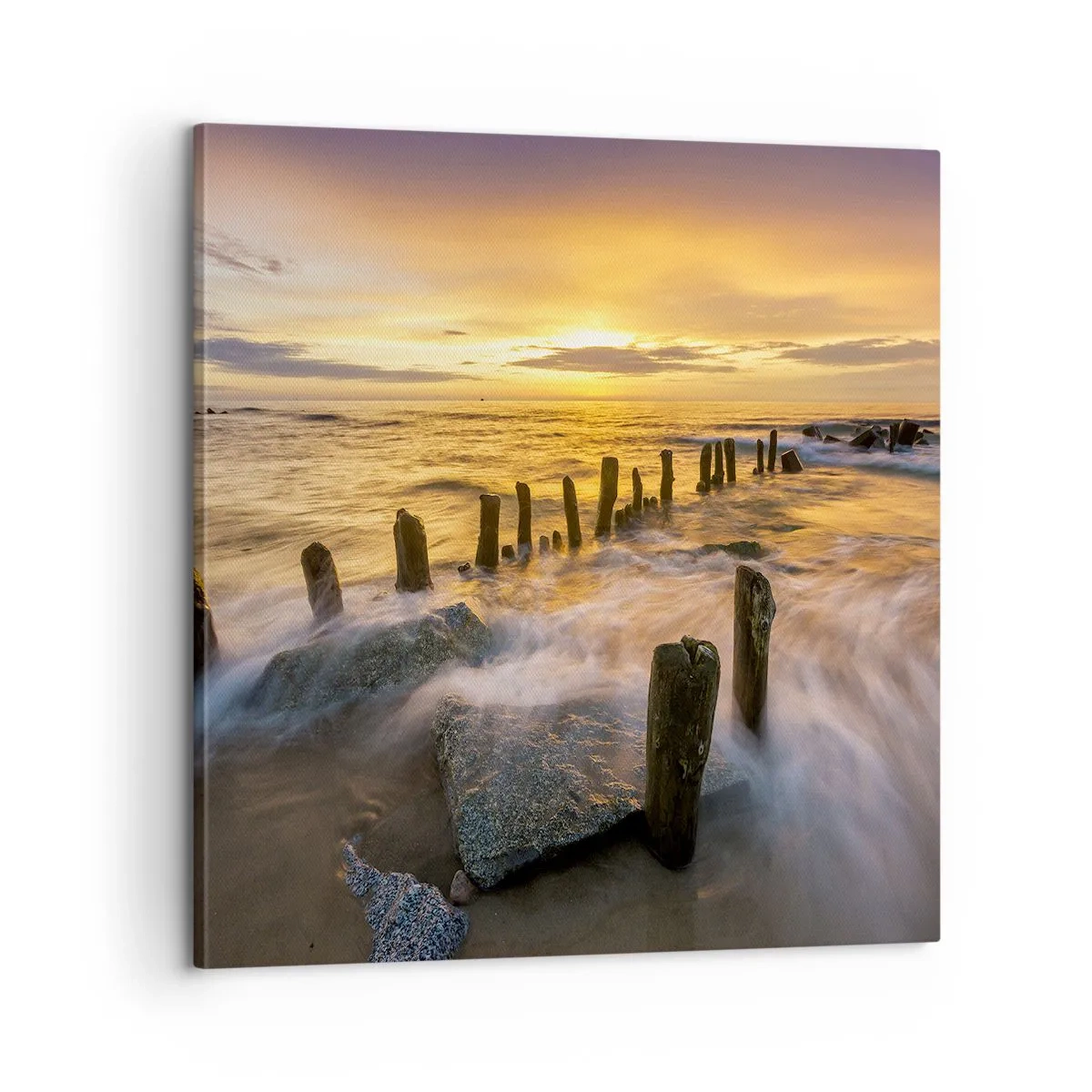 Impression sur toile - Image sur toile - La beauté brute de la mer Baltique - 60x60 cm