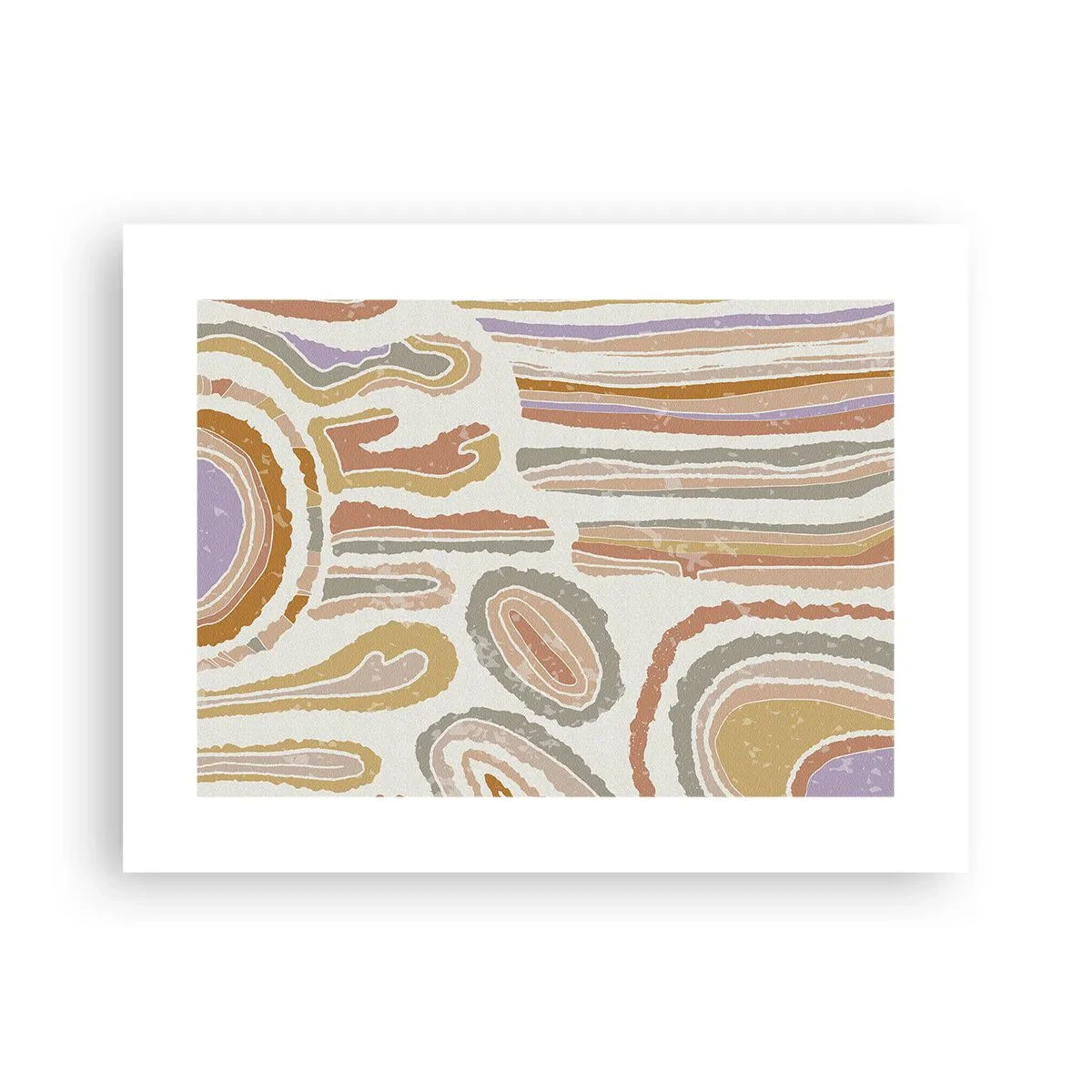 Affiche - Poster - Coupes transversales colorées - 40x30 cm