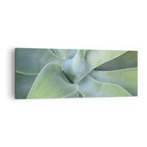 Impression sur toile - Image sur toile - Feuilles d'agave subtiles dans des tons verts - 140x50cm - La naissance de la verdure - Décoration murale moderne pour le salon et la chambre ARTTOR