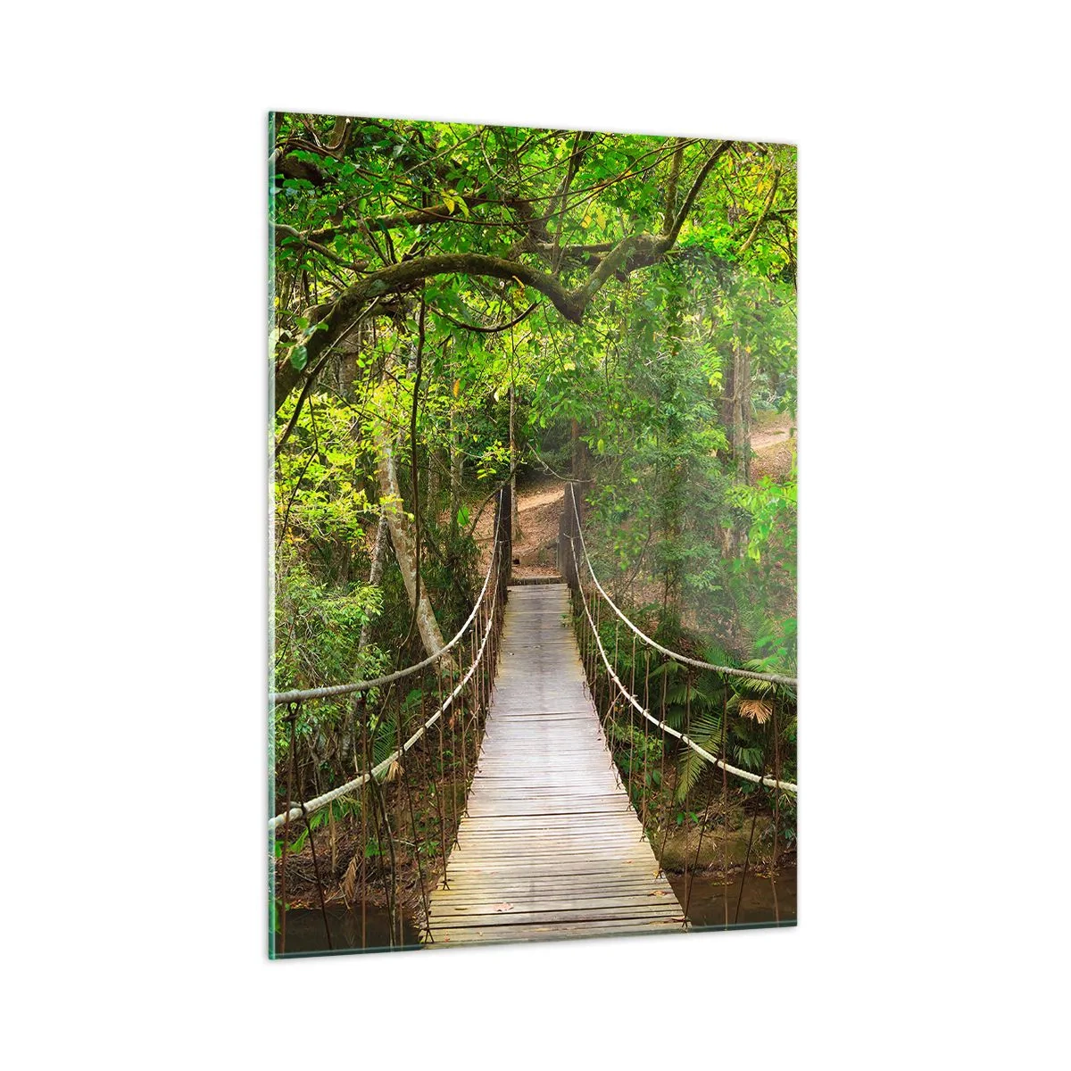 Impression sur verre - Image sur verre - Pont suspendu dans une forêt tropicale - 50x70cm - Parce qu'il y a une plante grimpante dans le jardin - Décoration murale moderne pour le salon et la chambre ARTTOR