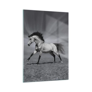 Impression sur verre - Image sur verre - Une photo en noir et blanc d'un cheval galopant dans un champ ouvert. - 50x70cm - Né pour séduire - Décoration murale moderne pour le salon et la chambre ARTTOR