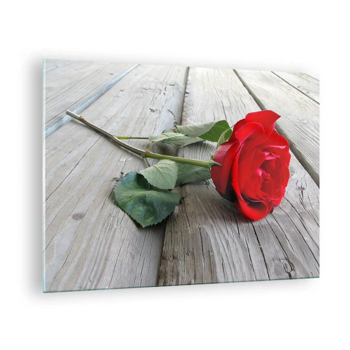 Impression sur verre - Image sur verre - Rose rouge sur une planche de bois - 70x50cm - Étude écarlate - Décoration murale moderne pour le salon et la chambre ARTTOR