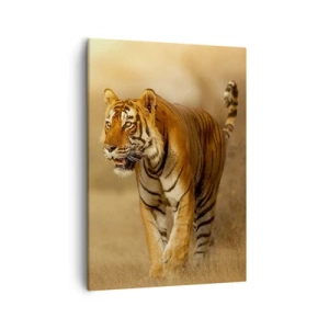Impression sur toile - Image sur toile - Un tigre marchant dans la savane aux couleurs chaudes - 50x70cm - Avant l'attaque - Décoration murale moderne pour le salon et la chambre ARTTOR