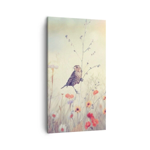 Impression sur toile - Image sur toile - Portrait d'oiseau sur pré en fond - 45x80 cm