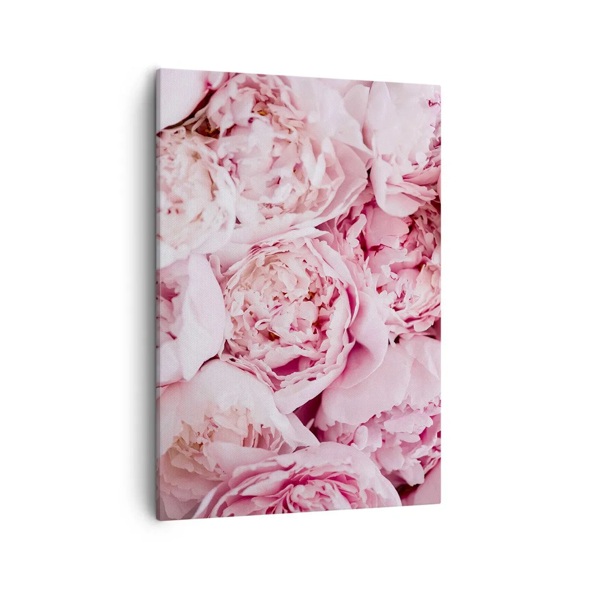 Impression sur toile - Image sur toile - Gros plan d'un bouquet de pivoines roses - 50x70cm - Caliné et parfumé - Décoration murale moderne pour le salon et la chambre ARTTOR