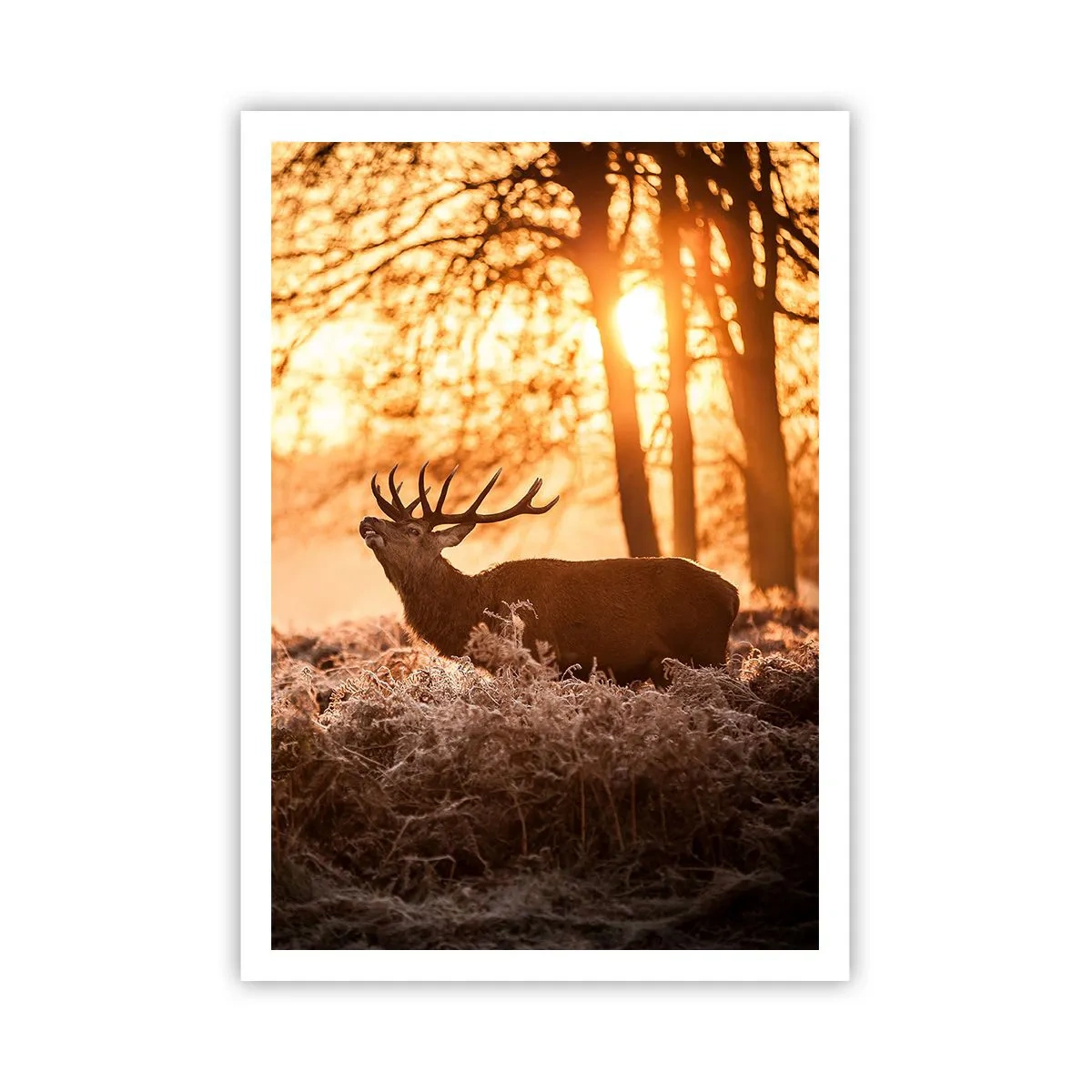 Affiche - Poster - Le rêve d'un chasseur - 70x100 cm