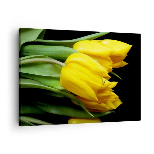 Impression sur toile - Image sur toile - Un bouquet de tulipes jaunes sur fond noir - 70x50cm - Lever de soleil pur - Décoration murale moderne pour le salon et la chambre ARTTOR