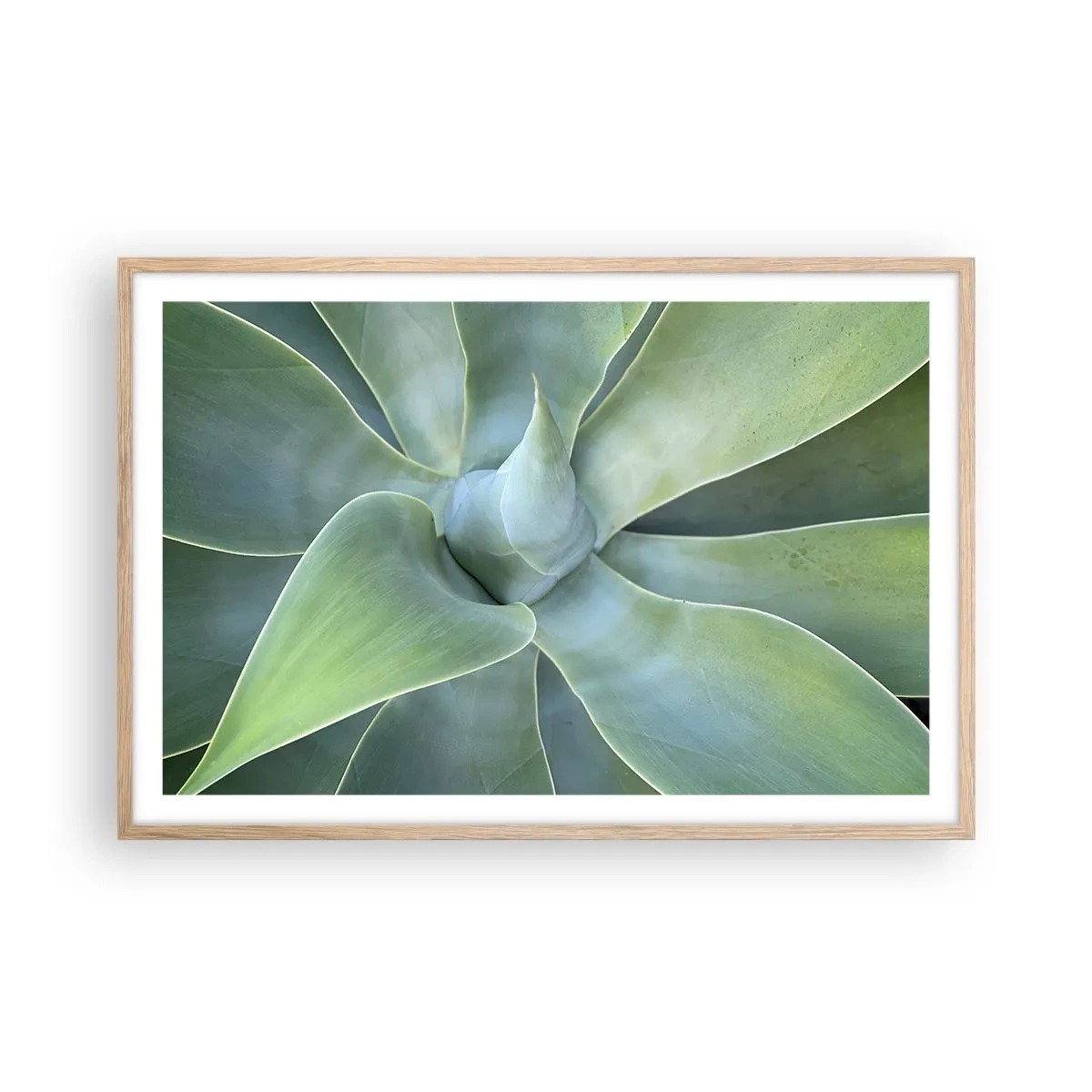 Affiche dans un chêne clair - Poster - La naissance de la verdure - 91x61 cm