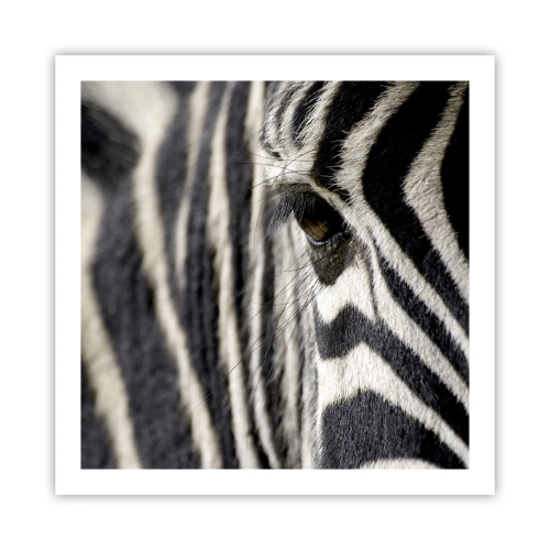 Affiche - Poster - Portrait en rayure - 60x60 cm