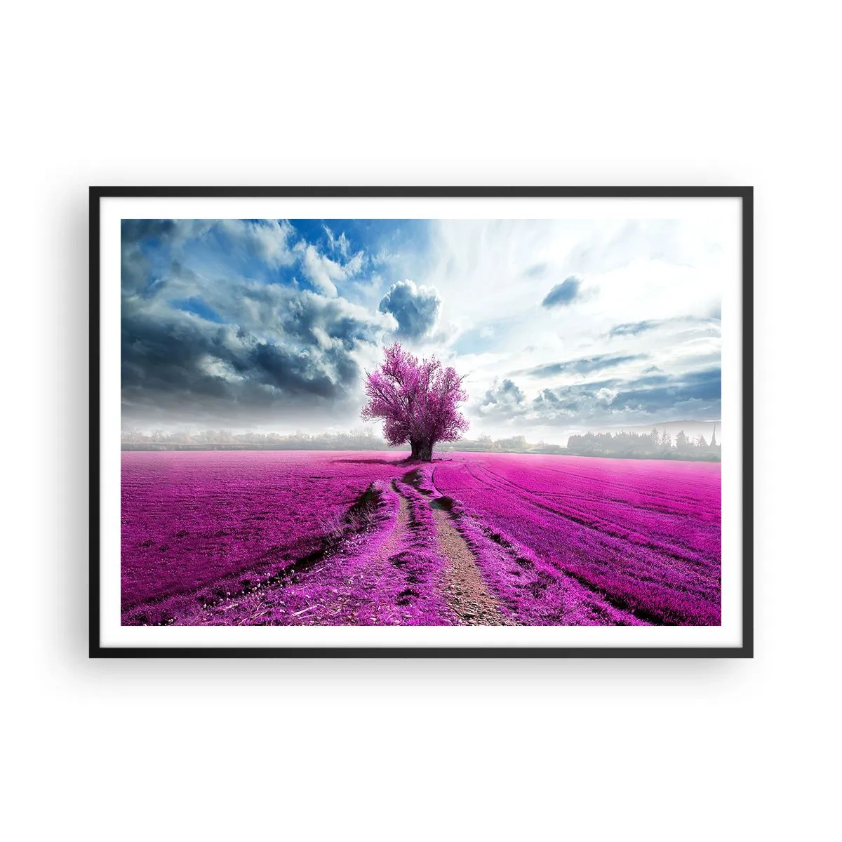 Affiche dans un cadre noir - Poster - Un arbre solitaire dans un champ dans une nuance de rose intense - 100x70cm - Lande - nature sauvage - Décoration murale moderne pour le salon et la chambre ARTTOR