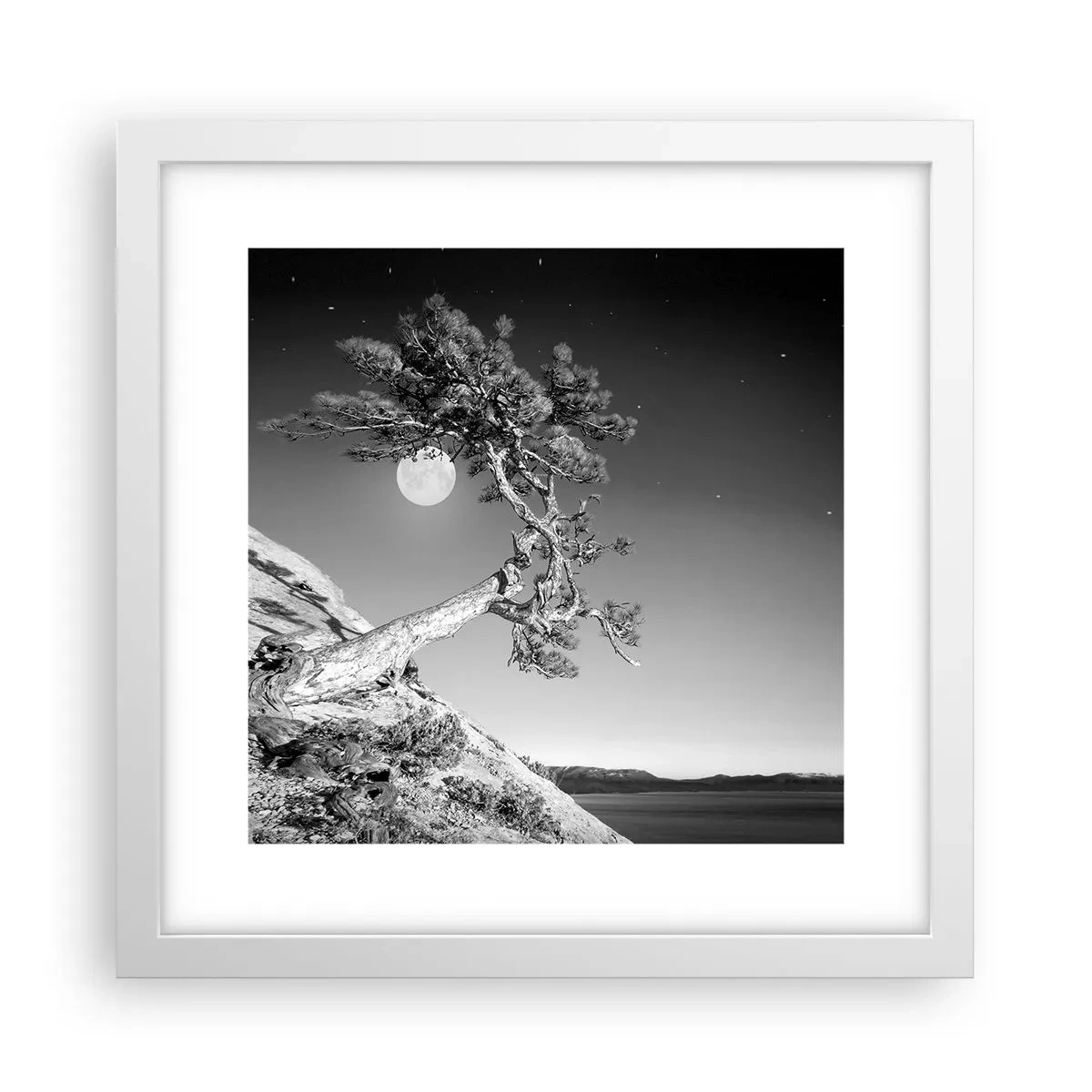 Affiche dans un cadre blanc - Poster - Un combattant vainqueur - 30x30 cm