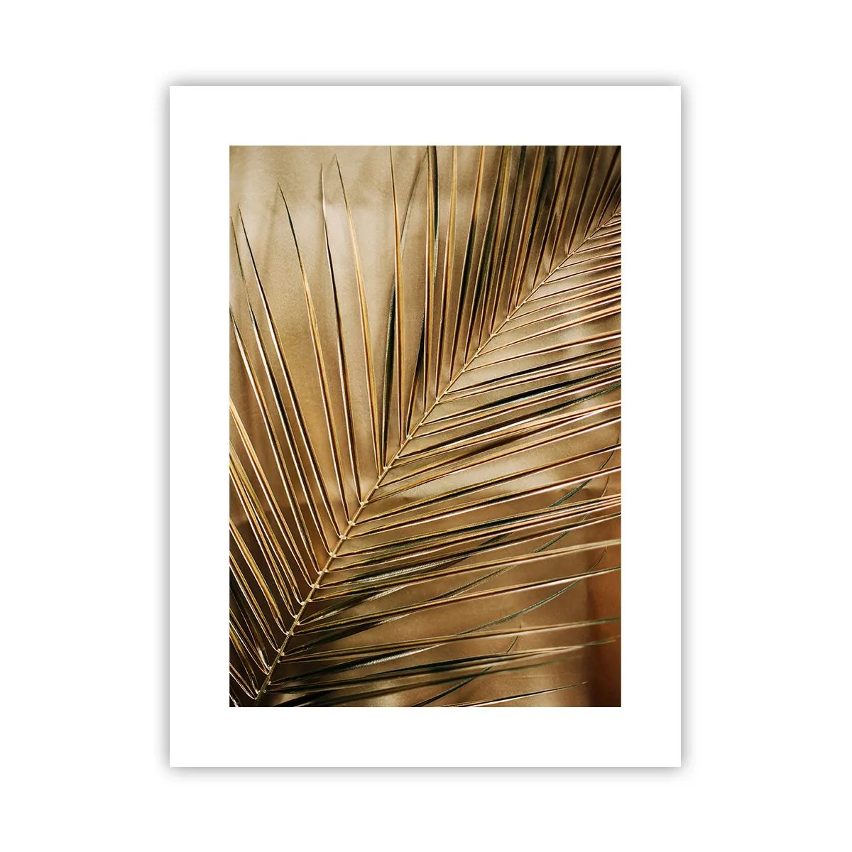 Affiche - Poster - Colonnade naturelle - 30x40 cm